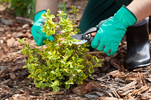 Landscaping team working safely in Poplar garden project