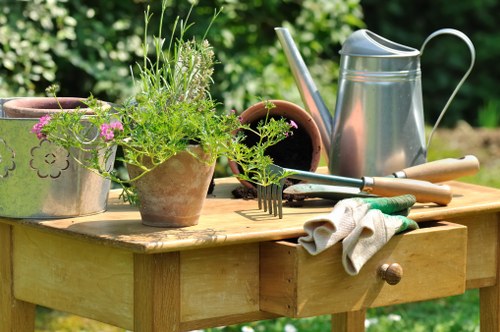 Garden landscaping ideas for Poplar homes and courtyards