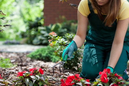 Ground preparation for lawn turfing in Poplar