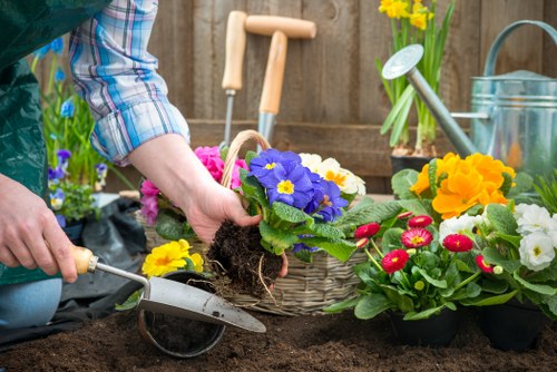 Safe and professional landscaping services in Poplar