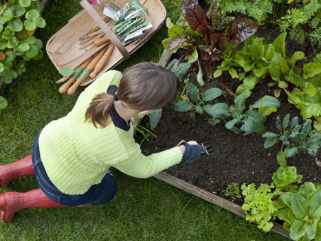 Energy-efficient decorative garden lighting suitable for Poplar properties
