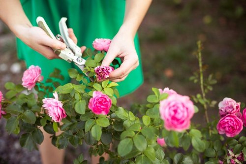 Customer reviewing landscaping terms and conditions