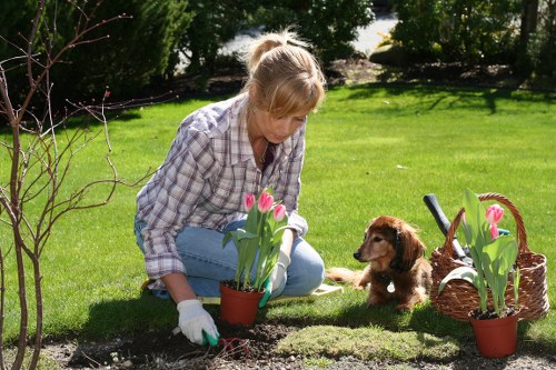 Visual showing cookie categories for Landscaping Poplar