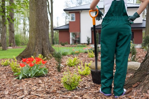 Beautiful landscaping around poplar trees with paths and soft planting beds