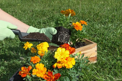 Professional checking planting and paving details outdoors