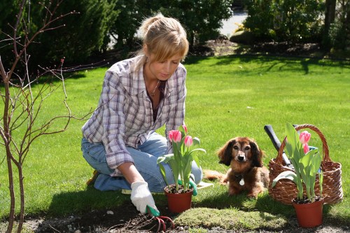 Charity donation of reusable landscaping materials in Poplar